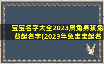 宝宝名字大全2023属兔男孩免费起名字(2023年兔宝宝起名字)