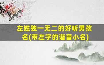 左姓独一无二的好听男孩名(带左字的谐音小名)