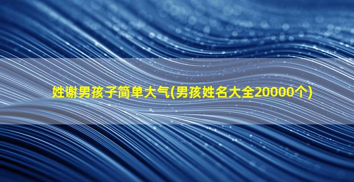 姓谢男孩子简单大气(男孩姓名大全20000个)