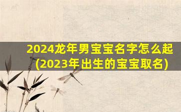 2024龙年男宝宝名字怎么起(2023年出生的宝宝取名)