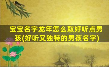 宝宝名字龙年怎么取好听点男孩(好听又独特的男孩名字)