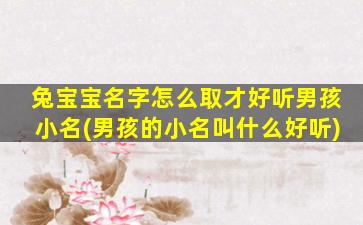 兔宝宝名字怎么取才好听男孩小名(男孩的小名叫什么好听)