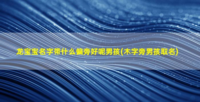 龙宝宝名字带什么偏旁好呢男孩(木字旁男孩取名)