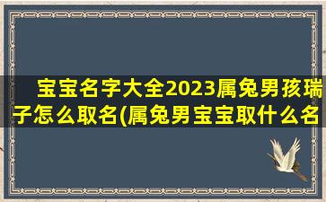 宝宝名字大全2023属兔男孩瑞子怎么取名(属兔男宝宝取什么名字)