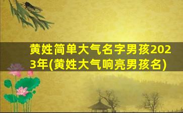 黄姓简单大气名字男孩2023年(黄姓大气响亮男孩名)