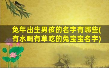 兔年出生男孩的名字有哪些(有水喝有草吃的兔宝宝名字)