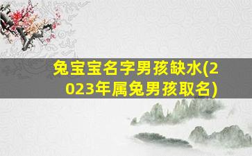 兔宝宝名字男孩缺水(2023年属兔男孩取名)