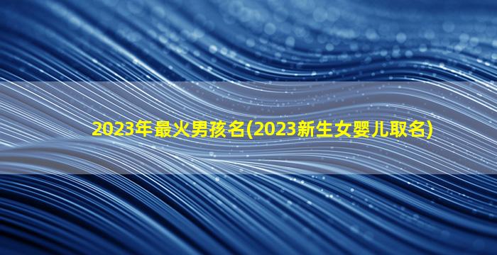 2023年最火男孩名(2023新生女婴儿取名)