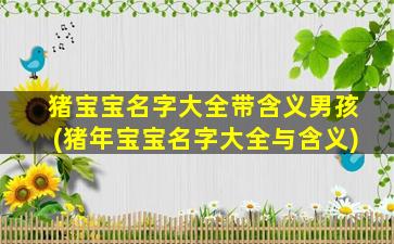猪宝宝名字大全带含义男孩(猪年宝宝名字大全与含义)