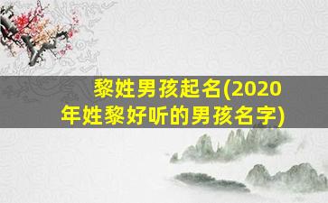 黎姓男孩起名(2020年姓黎好听的男孩名字)
