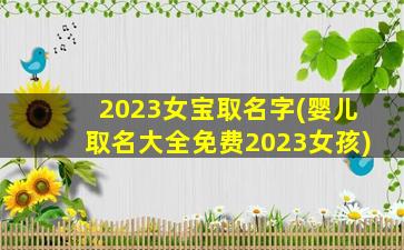 2023女宝取名字(婴儿取名大全免费2023女孩)