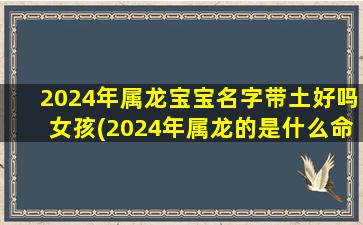 2024年属龙宝宝名字带土好吗女孩(2024年属龙的是什么命几月出生好)