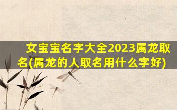 女宝宝名字大全2023属龙取名(属龙的人取名用什么字好)