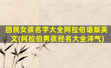 回民女孩名字大全阿拉伯语版英文(阿拉伯男孩经名大全洋气)