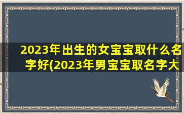 2023年出生的女宝宝取什么名字好(2023年男宝宝取名字大全)