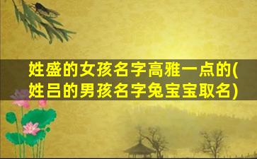 姓盛的女孩名字高雅一点的(姓吕的男孩名字兔宝宝取名)