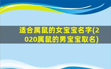 适合属鼠的女宝宝名字(2020属鼠的男宝宝取名)