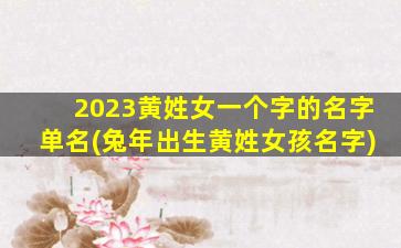 2023黄姓女一个字的名字单名(兔年出生黄姓女孩名字)
