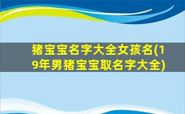 猪宝宝名字大全女孩名(19年男猪宝宝取名字大全)