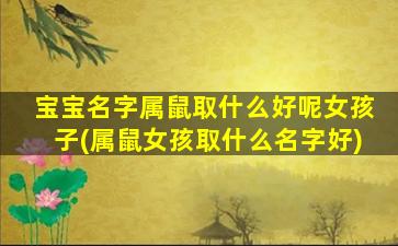宝宝名字属鼠取什么好呢女孩子(属鼠女孩取什么名字好)