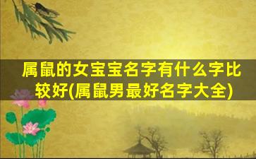 属鼠的女宝宝名字有什么字比较好(属鼠男最好名字大全)