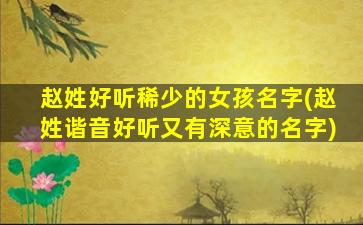 赵姓好听稀少的女孩名字(赵姓谐音好听又有深意的名字)