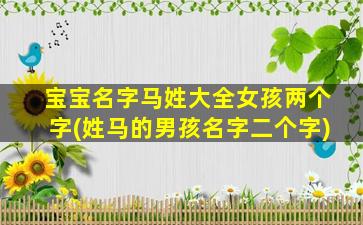 宝宝名字马姓大全女孩两个字(姓马的男孩名字二个字)