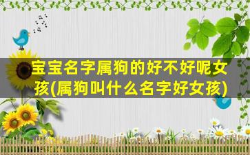 宝宝名字属狗的好不好呢女孩(属狗叫什么名字好女孩)