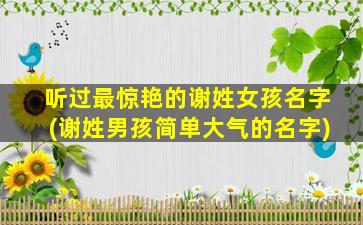 听过最惊艳的谢姓女孩名字(谢姓男孩简单大气的名字)