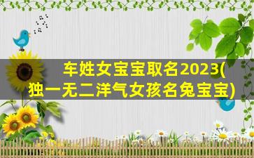 车姓女宝宝取名2023(独一无二洋气女孩名兔宝宝)