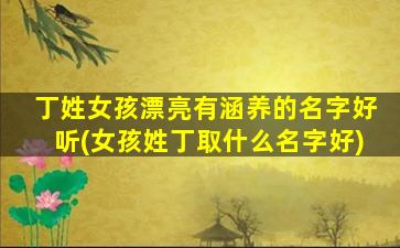 丁姓女孩漂亮有涵养的名字好听(女孩姓丁取什么名字好)