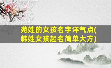 苑姓的女孩名字洋气点(韩姓女孩起名简单大方)