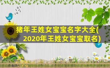 猪年王姓女宝宝名字大全(2020年王姓女宝宝取名)