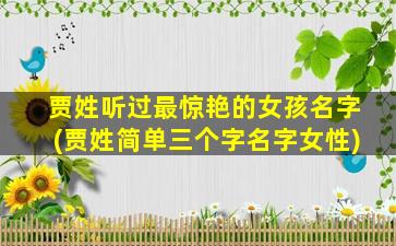 贾姓听过最惊艳的女孩名字(贾姓简单三个字名字女性)