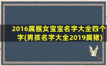 2016属猴女宝宝名字大全四个字(男孩名字大全2019属猪)