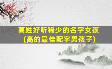 高姓好听稀少的名字女孩(高的最佳配字男孩子)