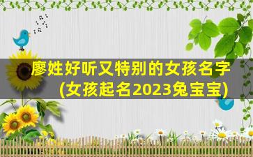 廖姓好听又特别的女孩名字(女孩起名2023兔宝宝)