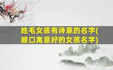 姓毛女孩有诗意的名字(顺口寓意好的女孩名字)