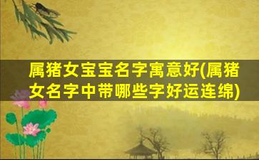 属猪女宝宝名字寓意好(属猪女名字中带哪些字好运连绵)