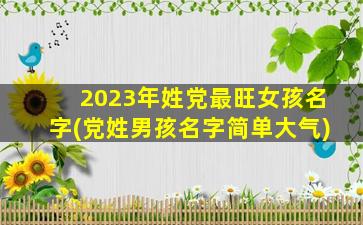 2023年姓党最旺女孩名字(党姓男孩名字简单大气)