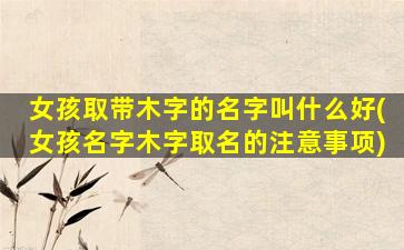 女孩取带木字的名字叫什么好(女孩名字木字取名的注意事项)