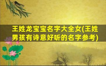 王姓龙宝宝名字大全女(王姓男孩有诗意好听的名字参考)
