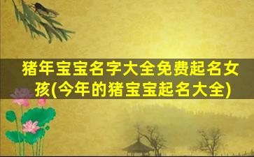 猪年宝宝名字大全免费起名女孩(今年的猪宝宝起名大全)