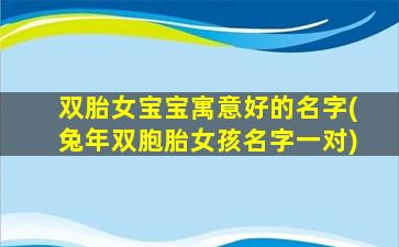 双胎女宝宝寓意好的名字(兔年双胞胎女孩名字一对)
