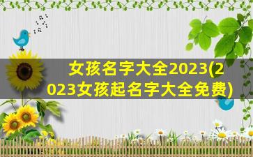 女孩名字大全2023(2023女孩起名字大全免费)