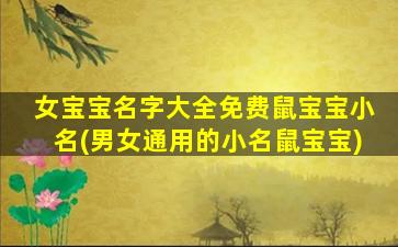 女宝宝名字大全免费鼠宝宝小名(男女通用的小名鼠宝宝)
