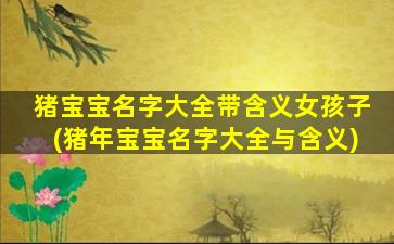 猪宝宝名字大全带含义女孩子(猪年宝宝名字大全与含义)