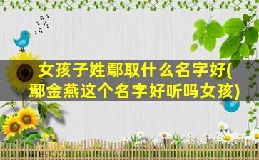女孩子姓鄢取什么名字好(鄢金燕这个名字好听吗女孩)