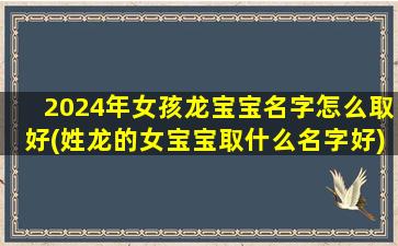 2024年女孩龙宝宝名字怎么取好(姓龙的女宝宝取什么名字好)
