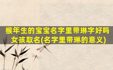猴年生的宝宝名字里带琳字好吗女孩取名(名字里带琳的意义)
